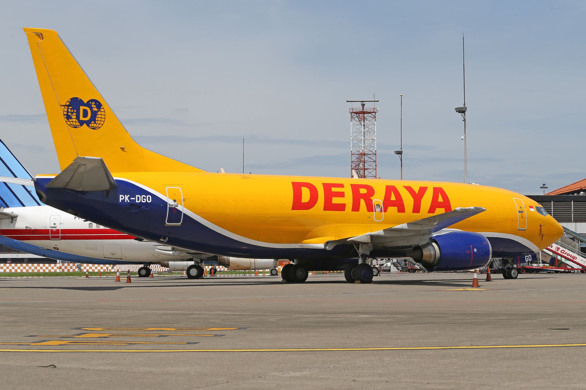 horse walking off cargo plane on airport tarmac