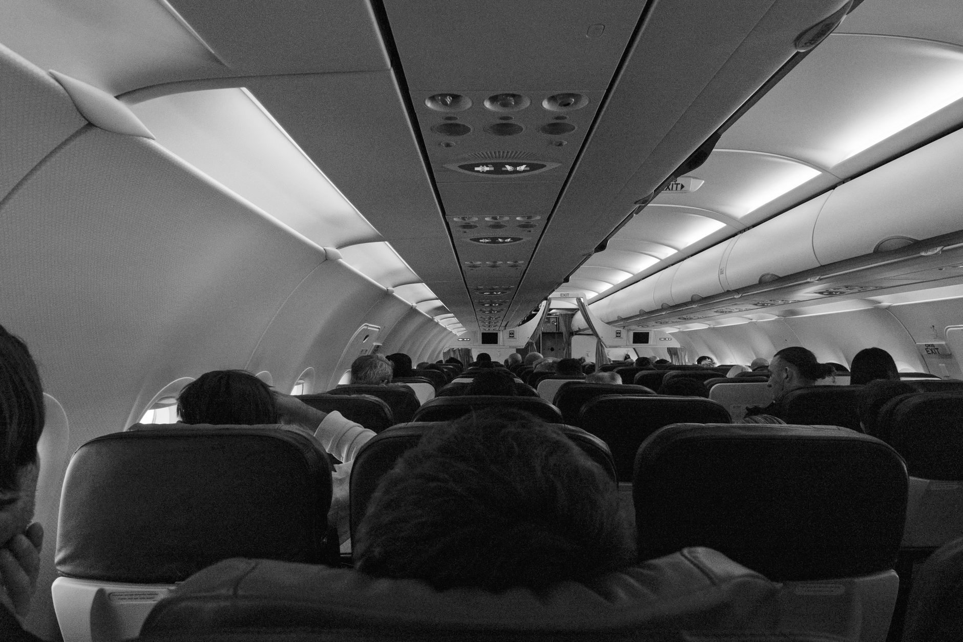 passenger boarding airplane with small dog in cabin travel bag