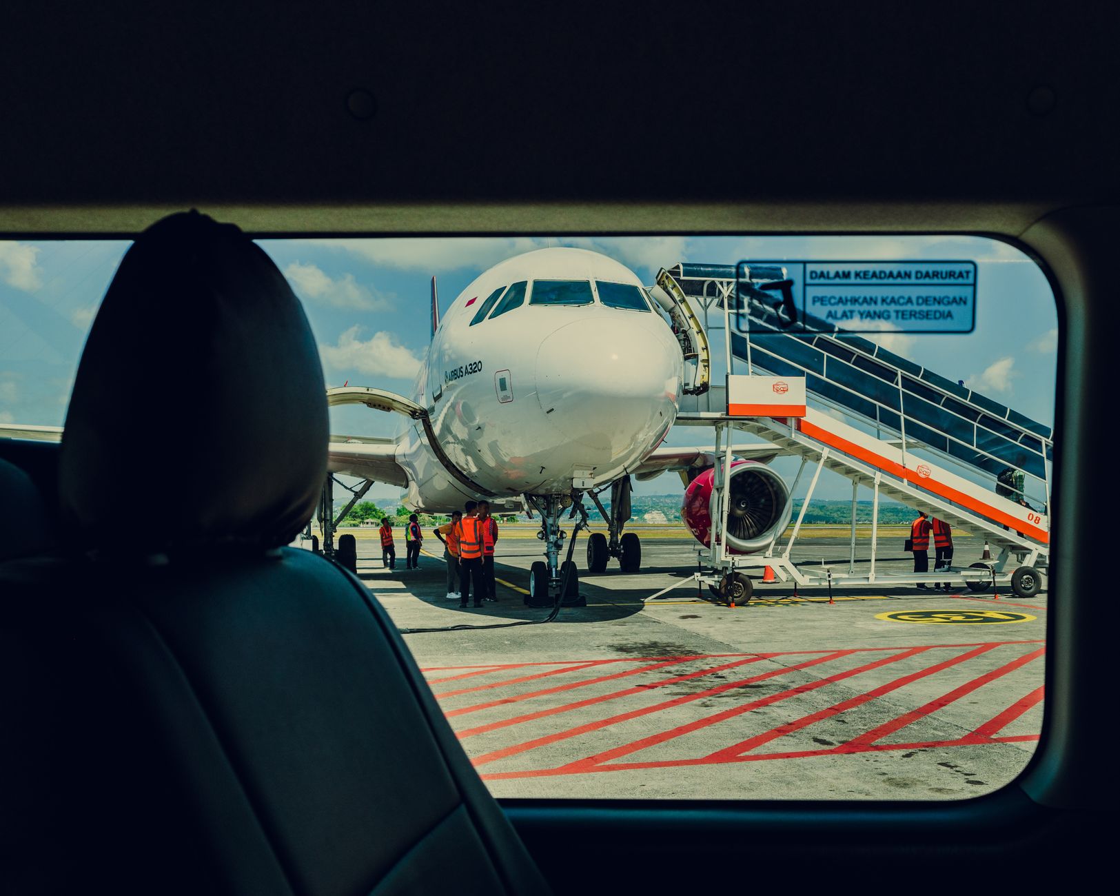 How Can I Ship a Dog? A Step-by-Step Guide to Air, Ground, and International Pet Transport