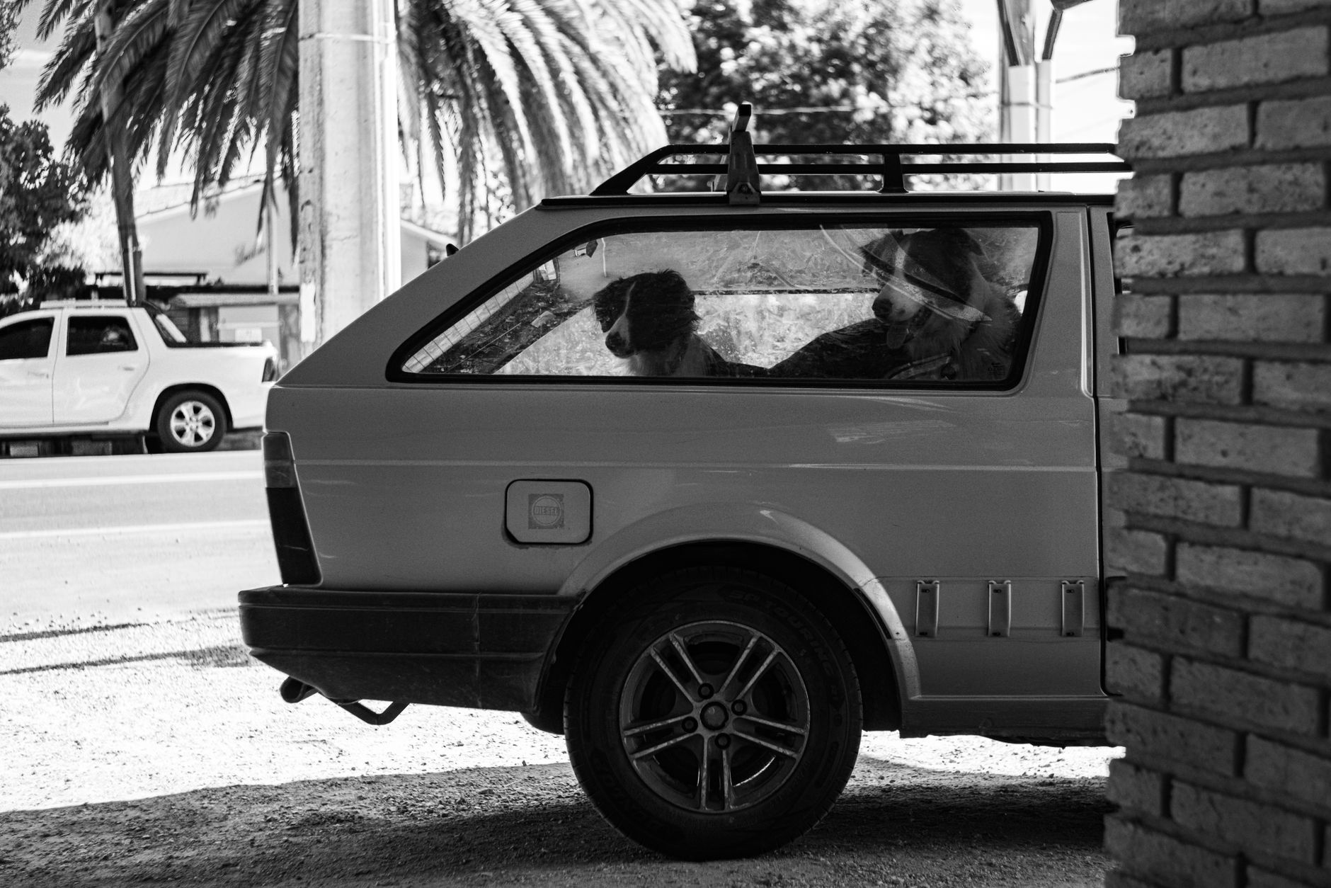 family with small dog crossing European border checkpoint