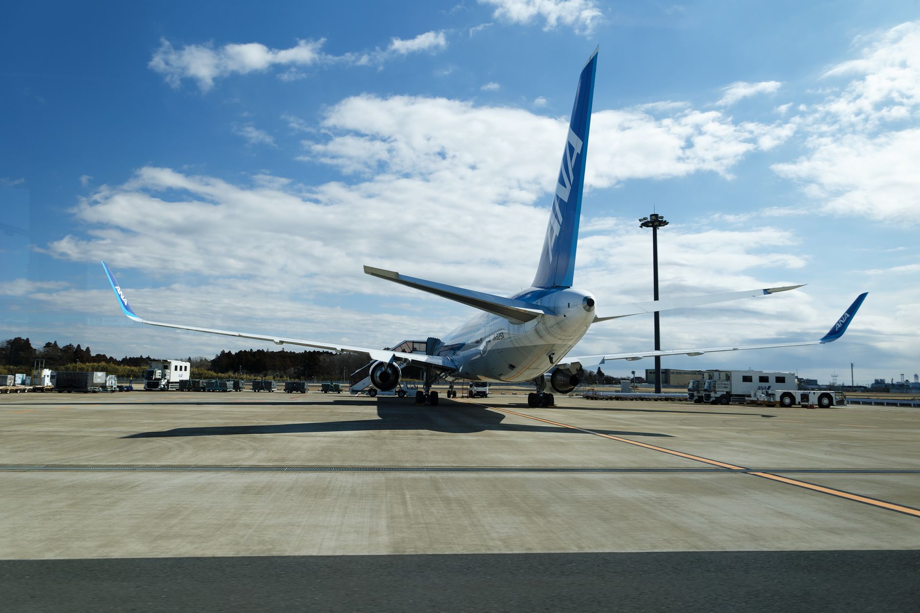 airliner tail with painted wildlife on airport tarmac