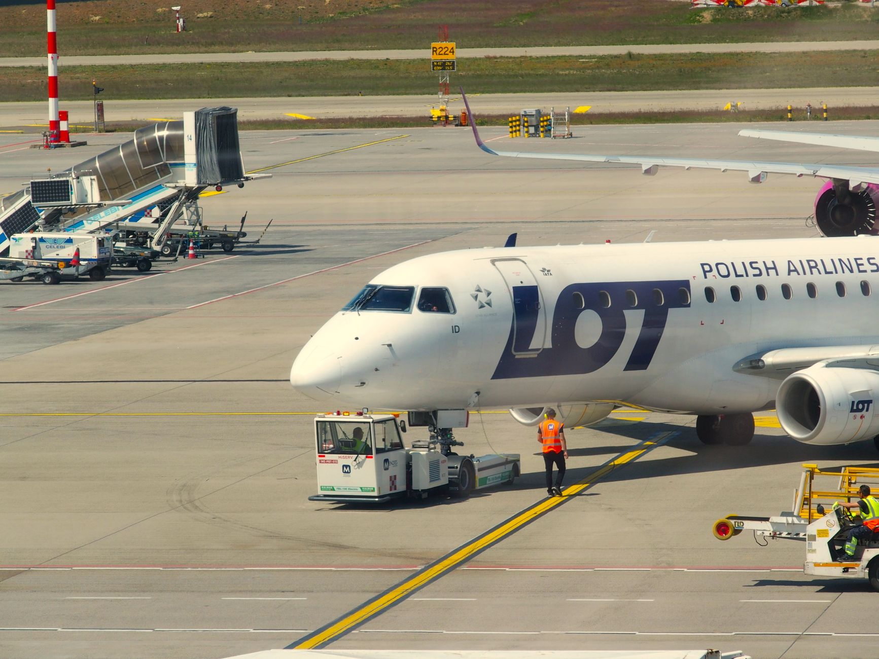 Can I Take My Dog on a Plane? Rules, Costs, and Airline Policies (2026)