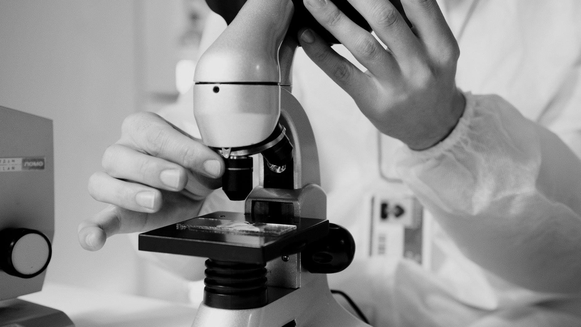 DFA Test Rabies: How Labs Confirm Infection After Death
