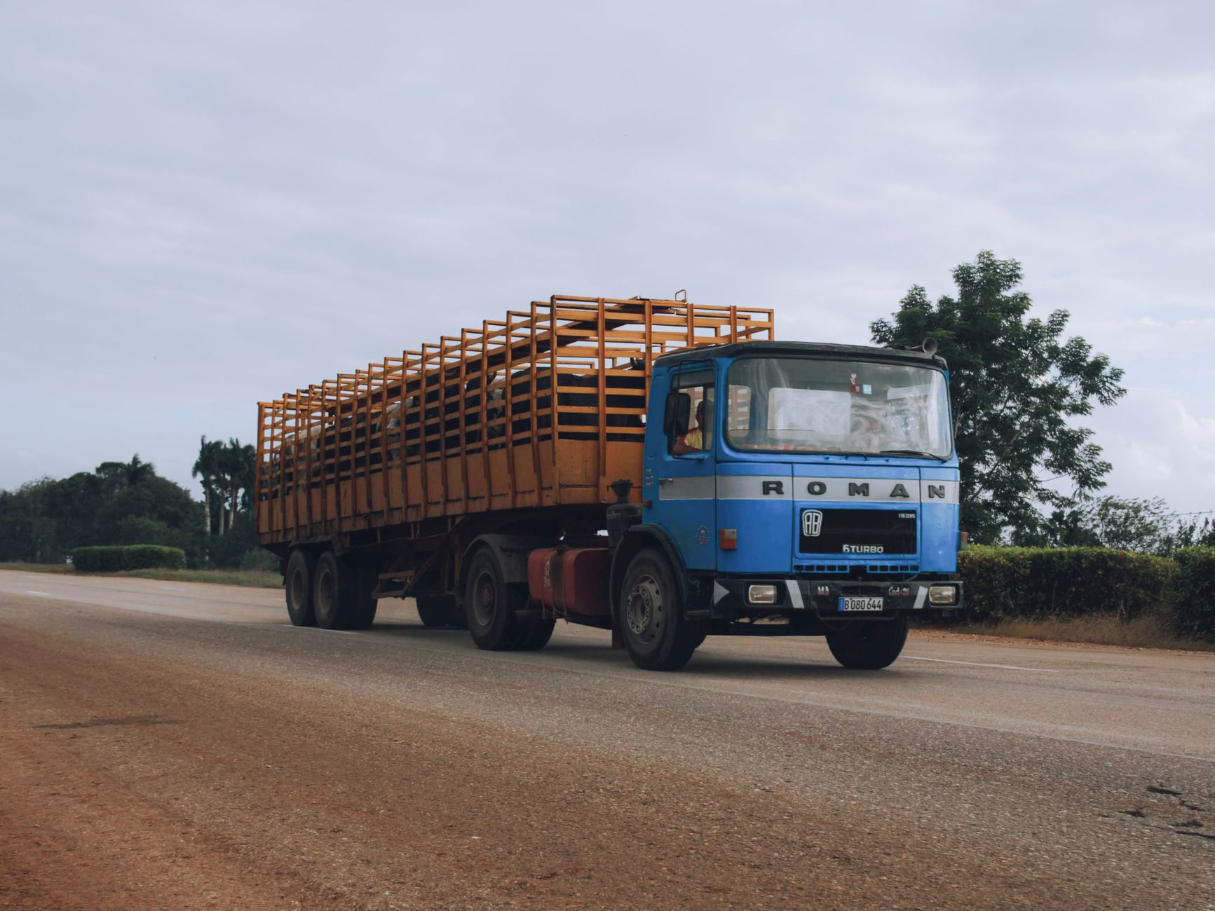 Animal Import Guide: Pets, Livestock, and Cross-Border Rules