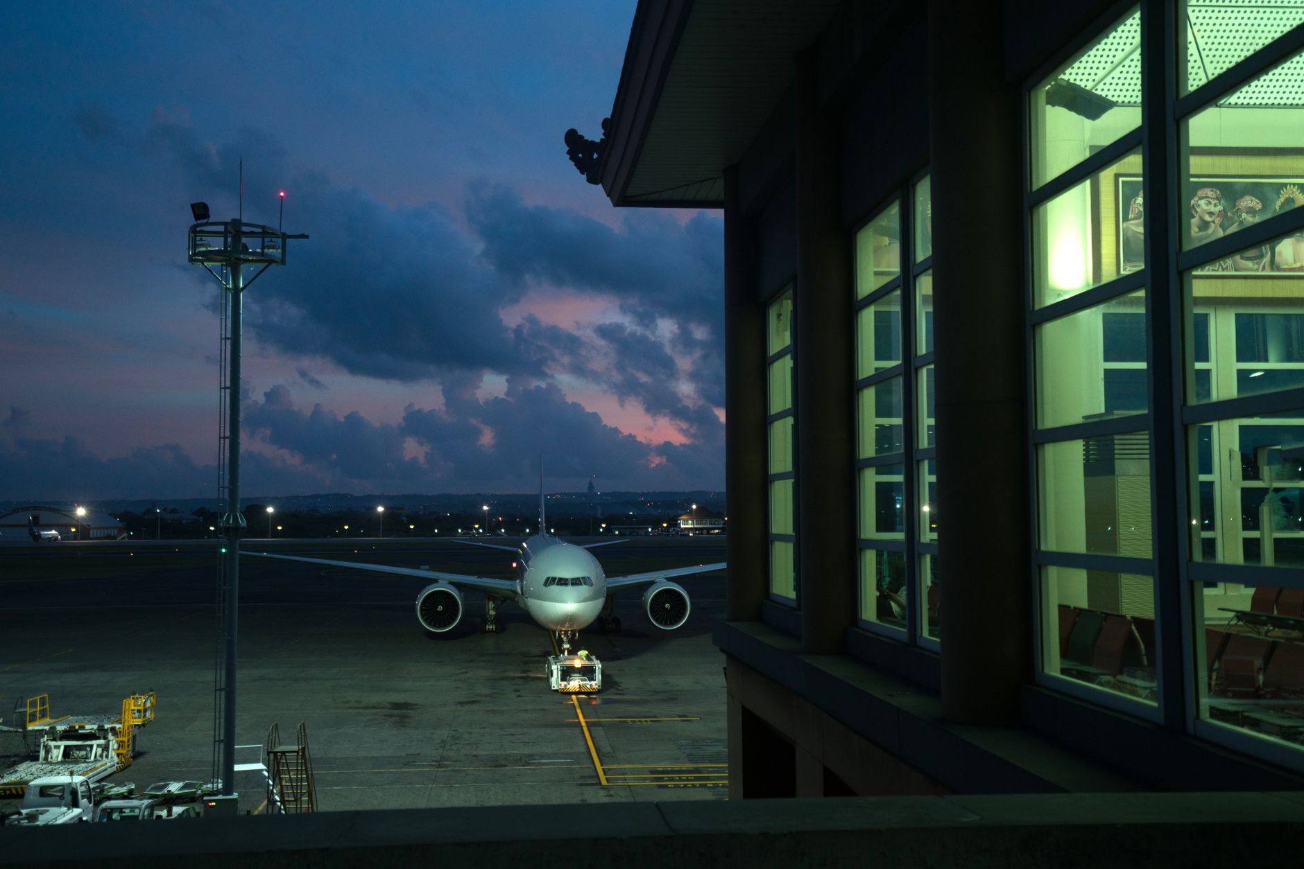 Southwest Airlines Dog Policy 2026: Fees, Carrier Rules & Requirements