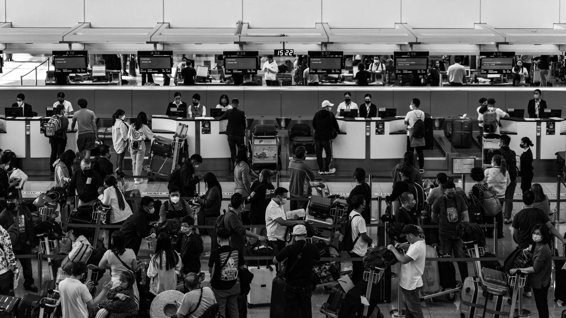 airline special services counter passenger checking in pet kennel