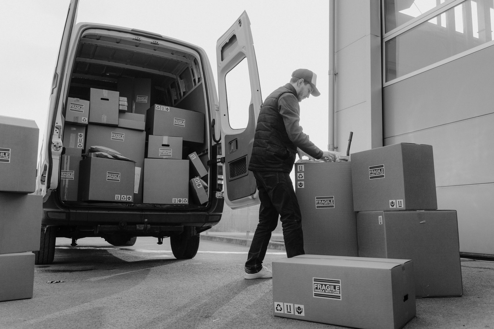 pet transport van driver loading dog crate