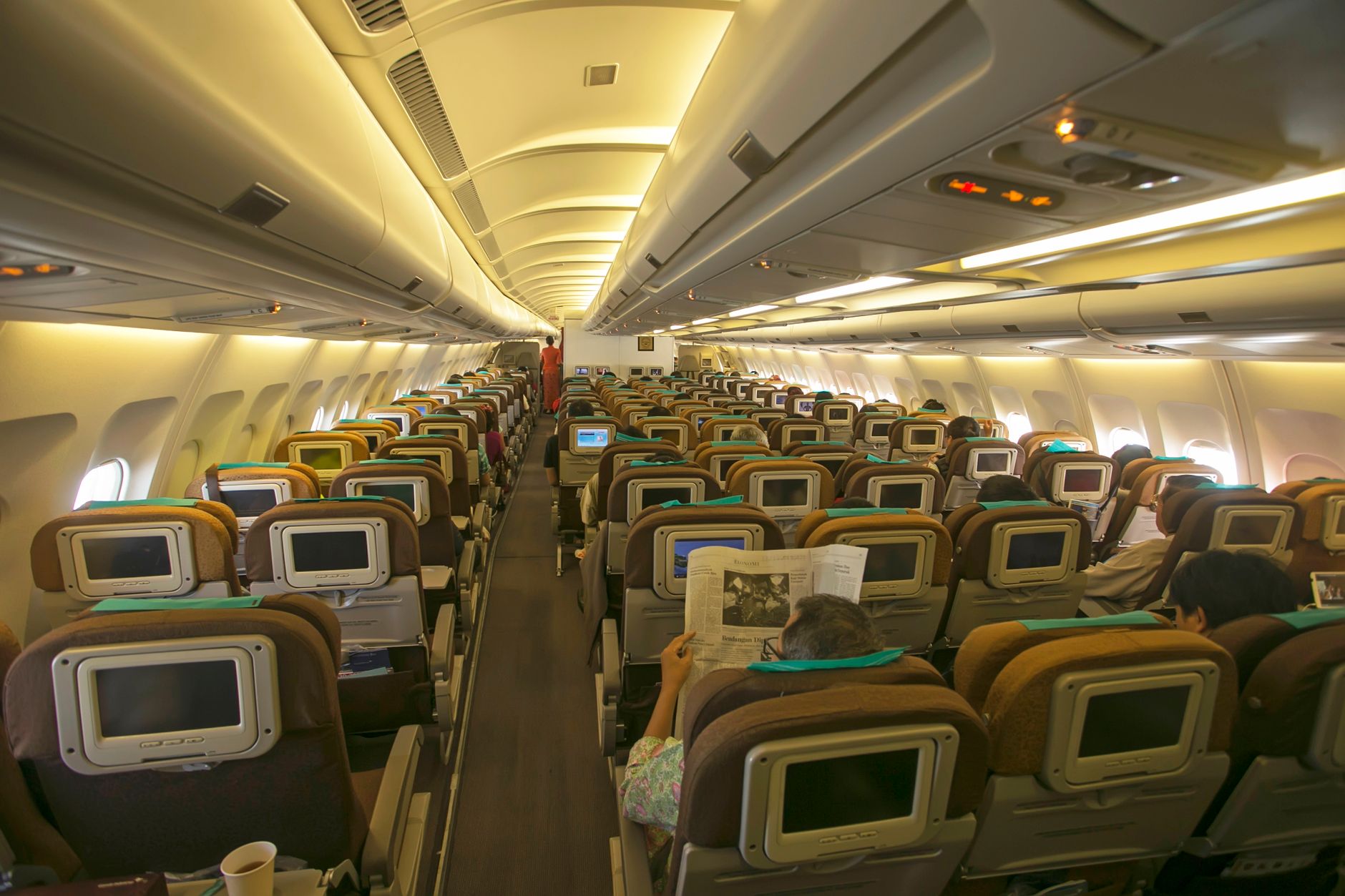 Delta Airlines Service Animal Rules: Forms, Fees, and Cabin Access