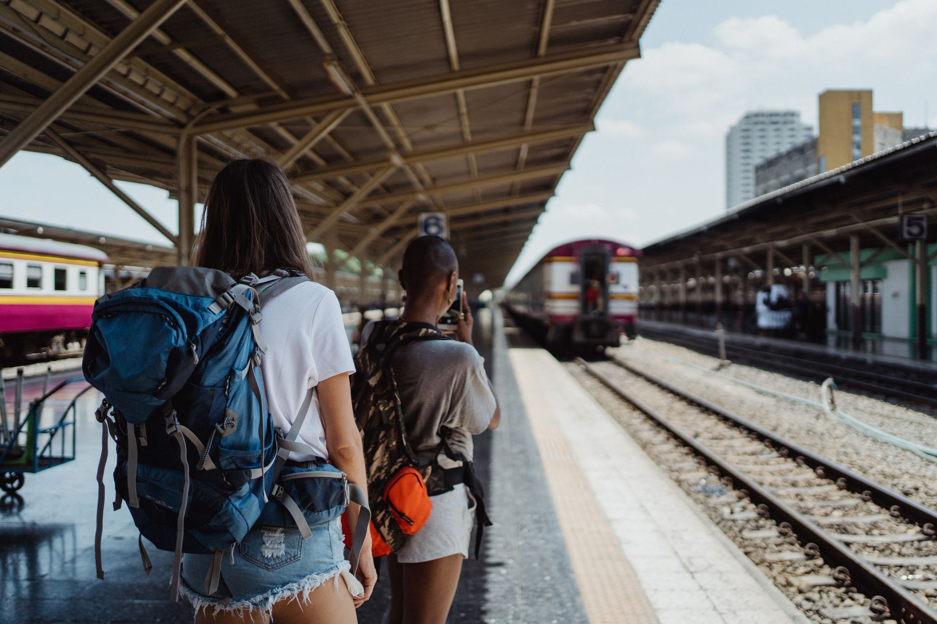 Dog Bags for Travel: How to Choose an Airline-Ready Carrier and Pack the Right Gear (2026 Guide)