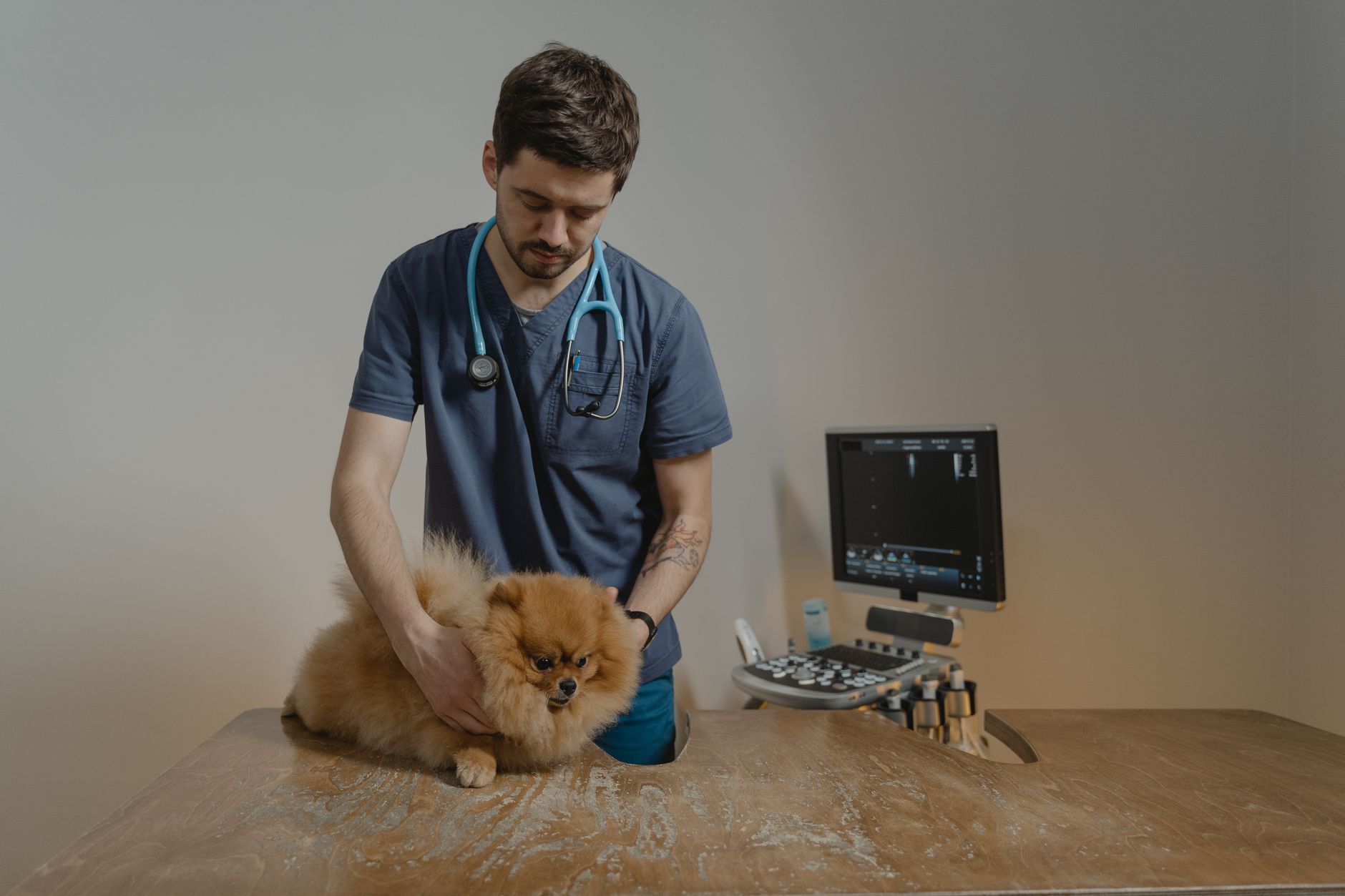 Pet Health Certificate: USDA APHIS and CDC Rules Explained (2026)