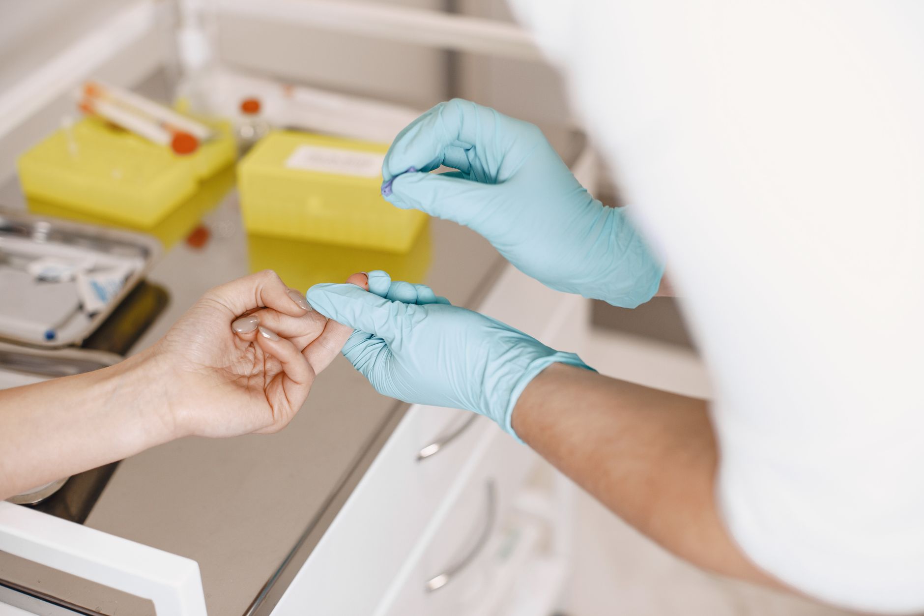 veterinarian drawing blood sample from dog for lab test clinic