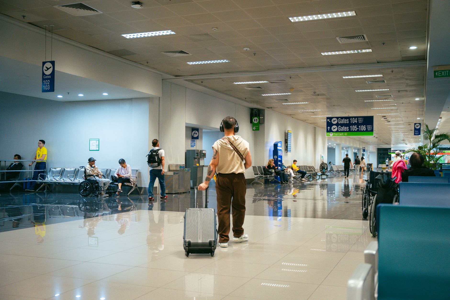 Delta Airlines Animal Policy 2026: Pets, Service Animals & Cargo Rules