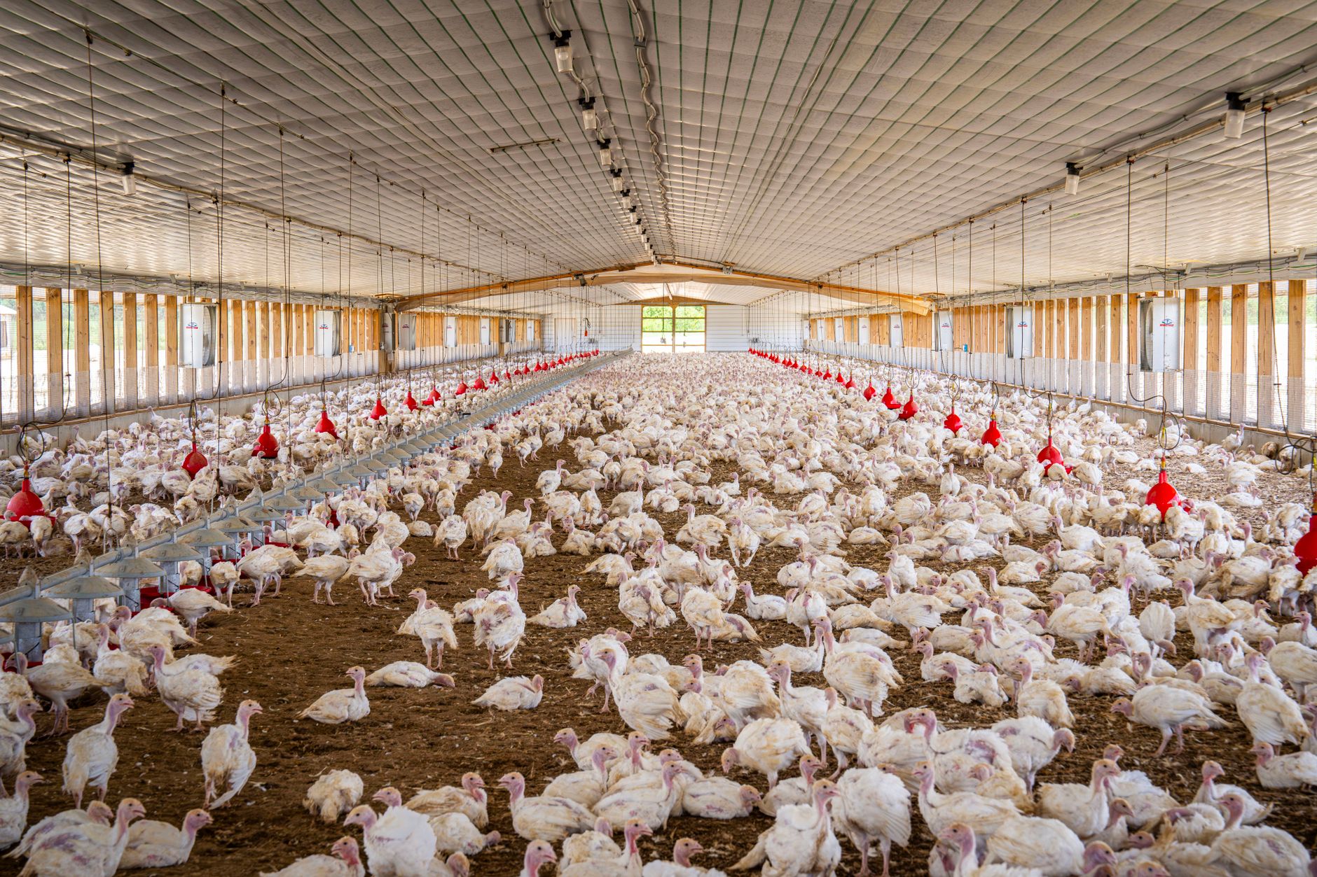 quarantine barn facility livestock isolation Canadian farm