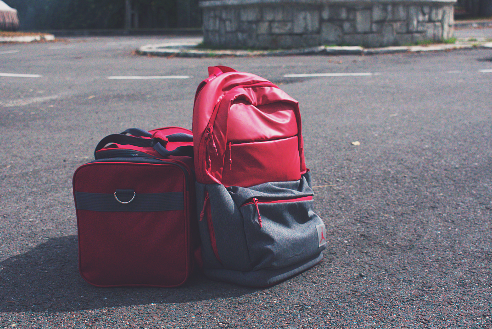dog travel carrier bag packed next to suitcase for road trip