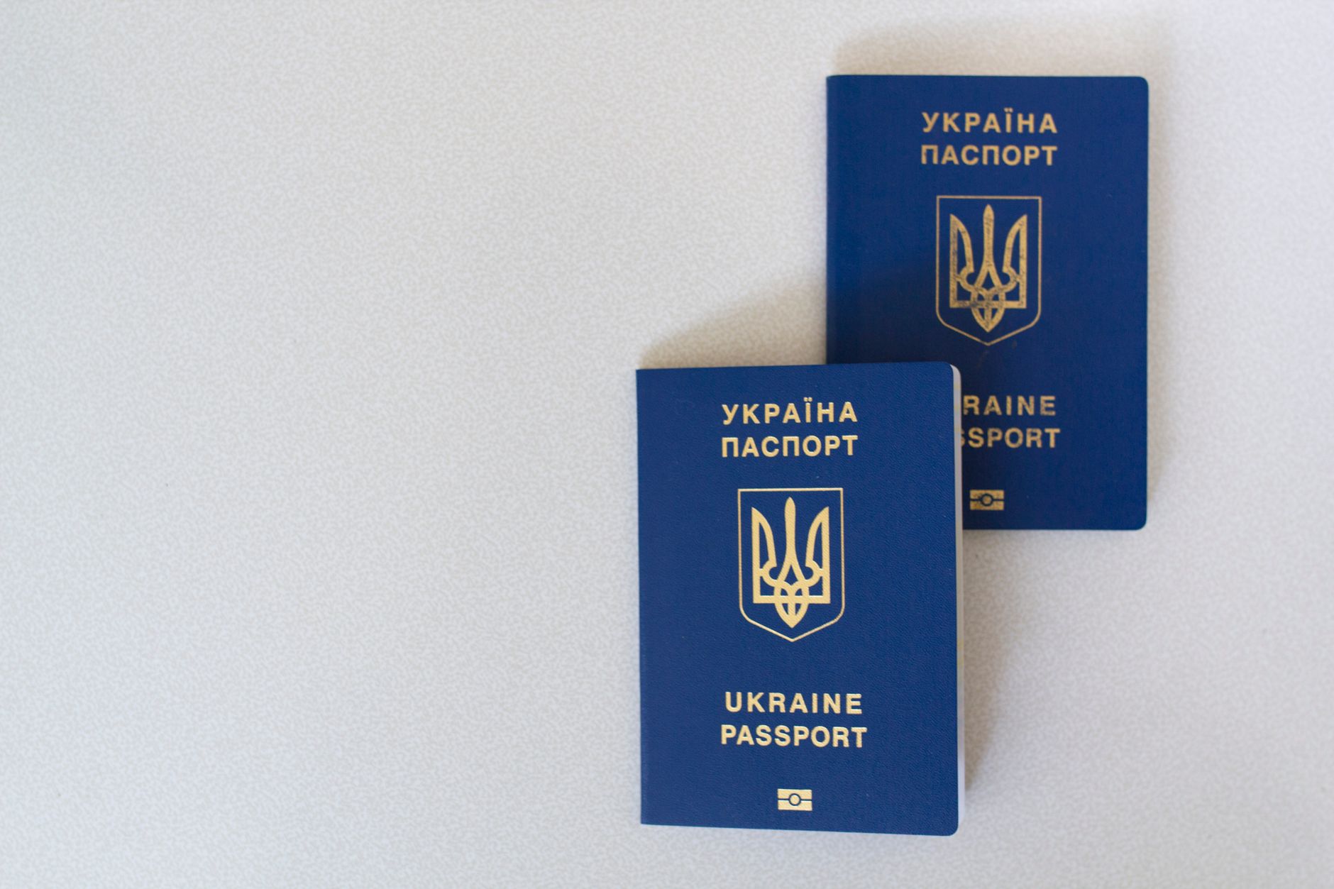 blue EU pet passport booklet open on veterinary clinic desk