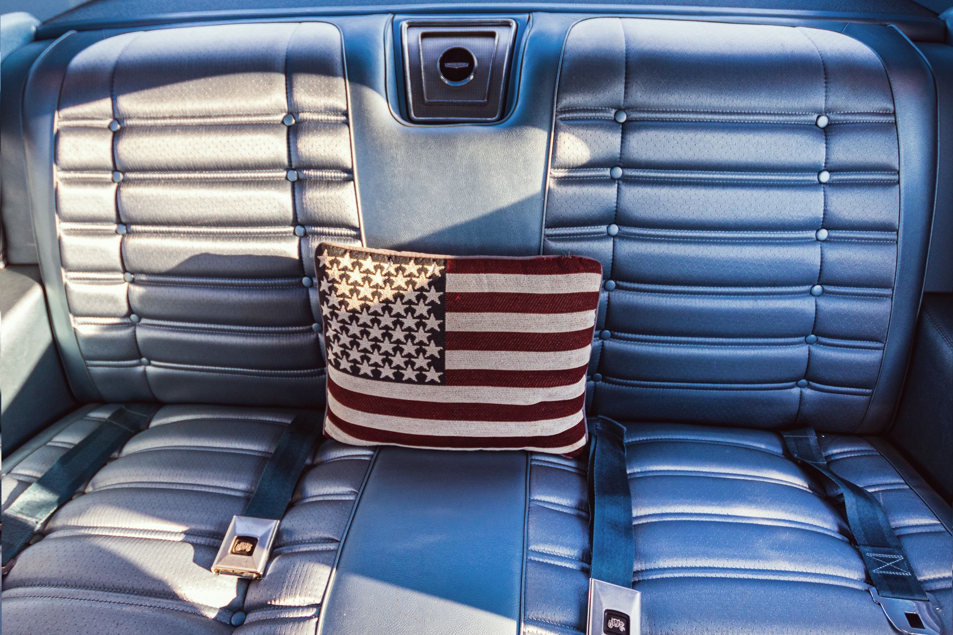 How to Transport Cats Across Country: Car, Plane, and Pet Shipping Compared