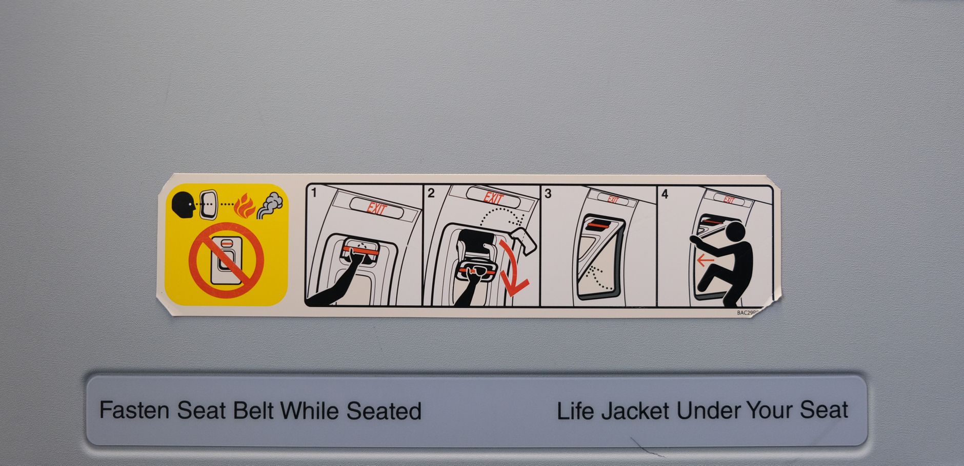 guide dog airplane cabin