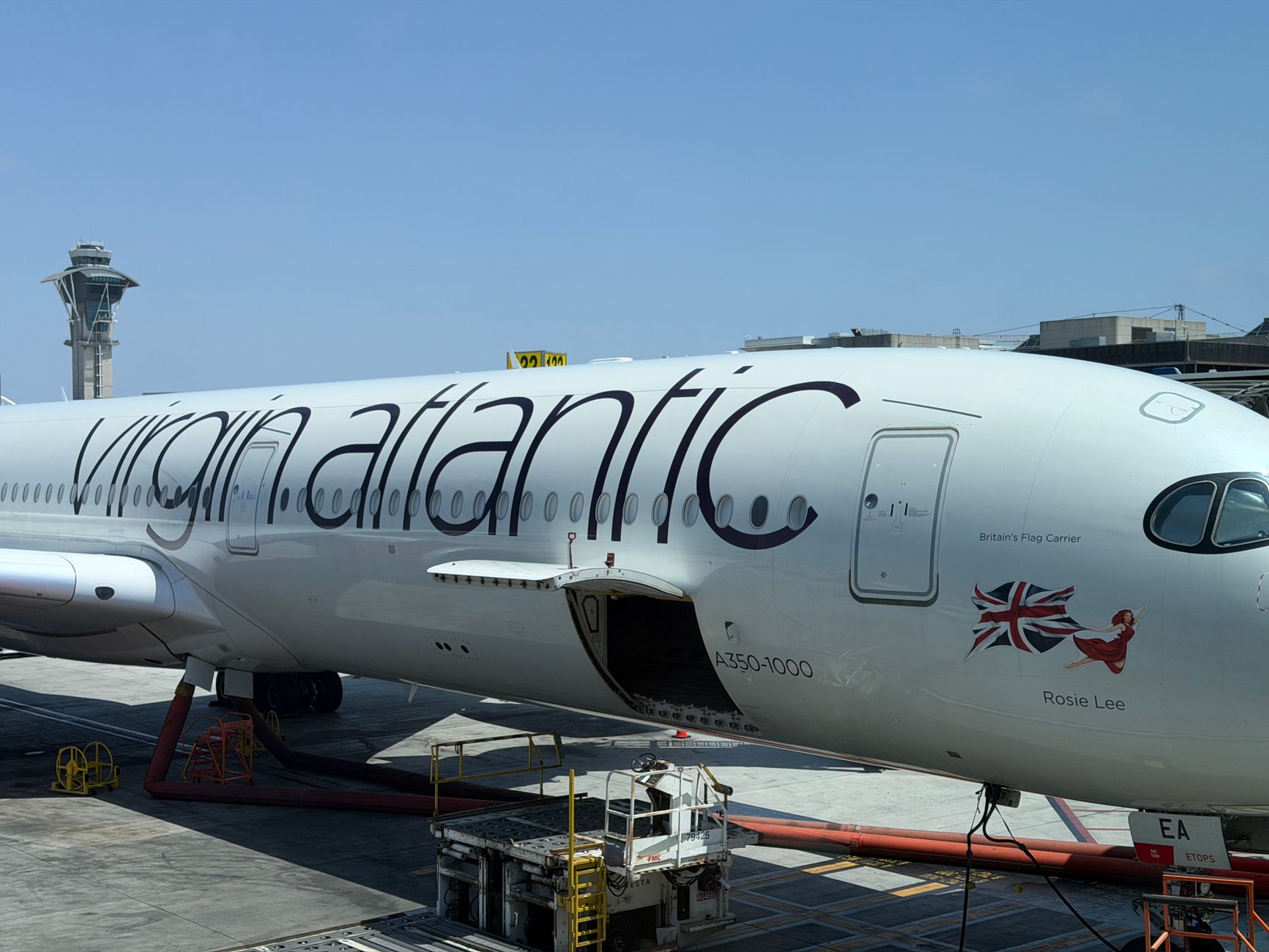 tabby cat inside airline cabin pet carrier at departure gate