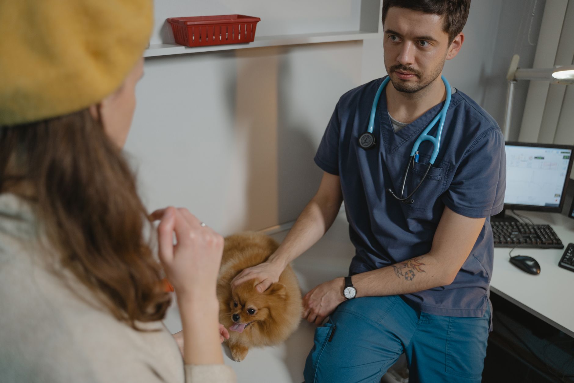 USA Pet Passport: Does the U.S. Issue One? USDA APHIS Rules Explained (2026)