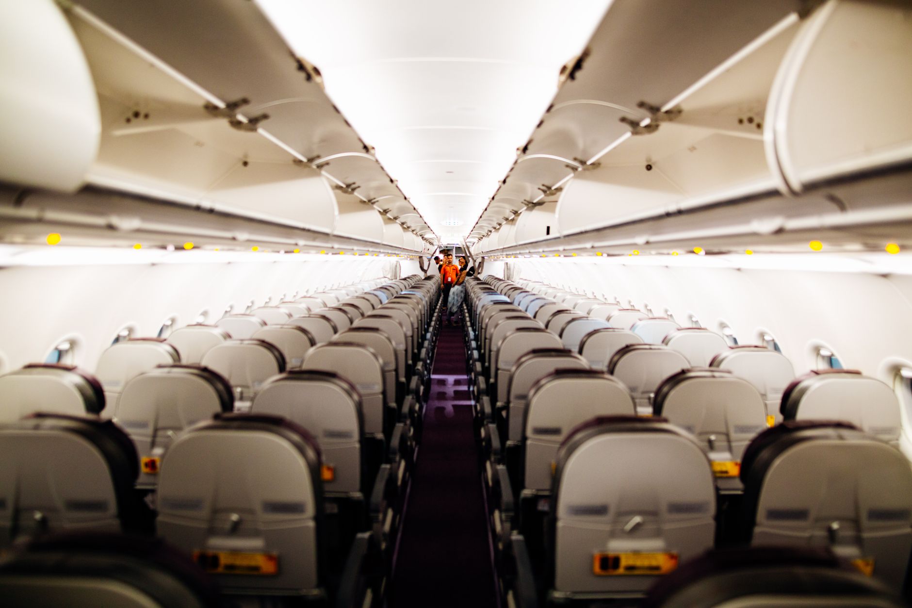dog carrier bag fitting under airline seat cabin interior