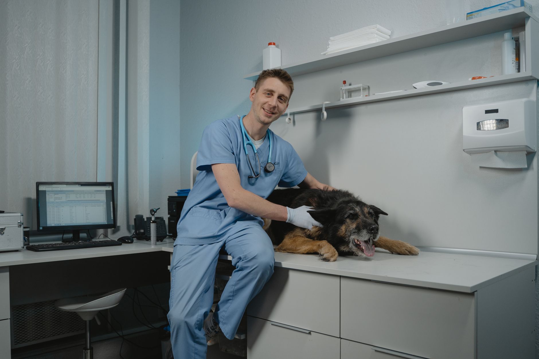 veterinarian signing USDA pet health certificate office desk