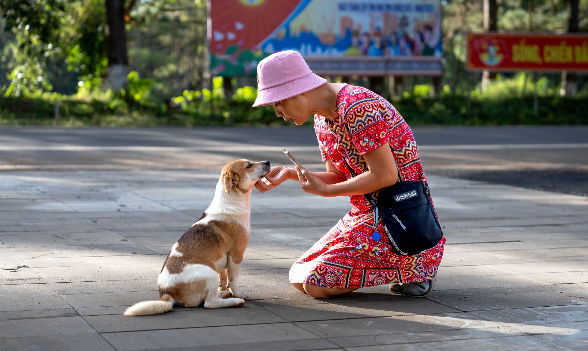 farmer holding phone photographing dog outdoors in rural setting