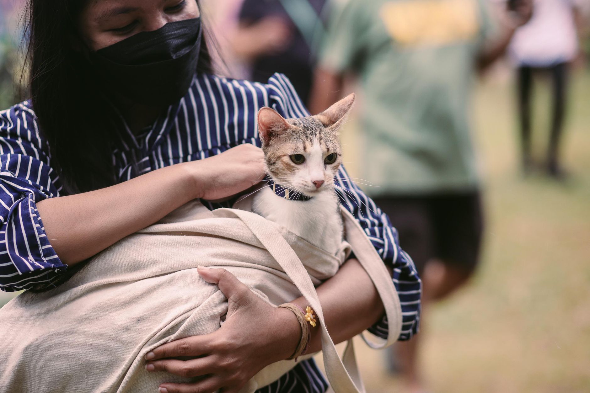 Delta Flying With a Cat: 2026 Fees, Carrier Size and Rules