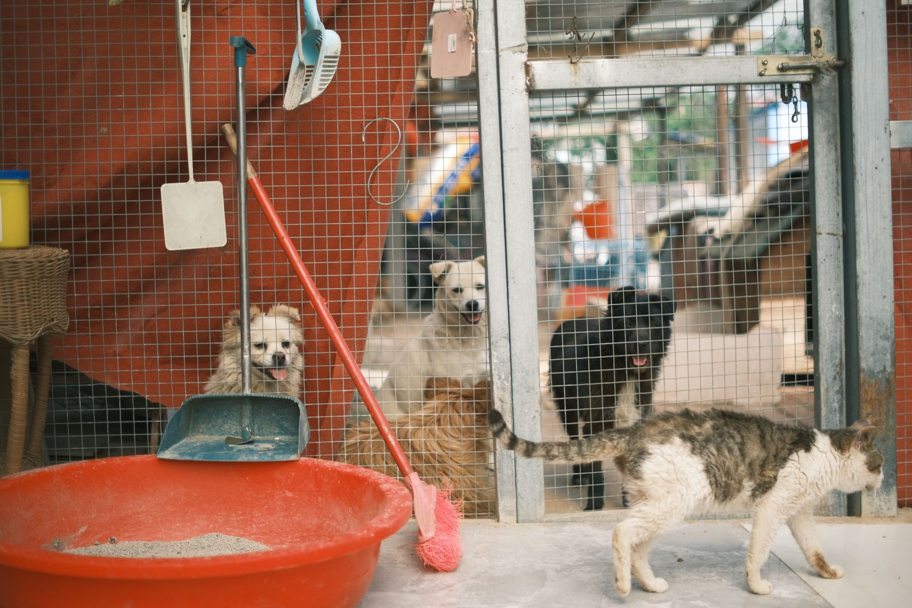 KLIA cargo pet kennel quarantine holding room Malaysia