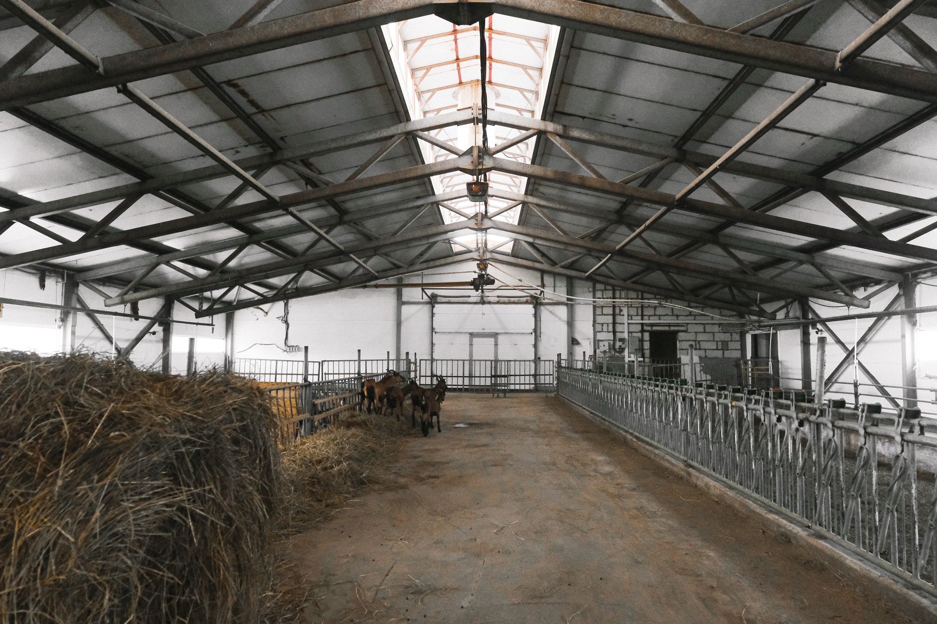 animal livestock barn