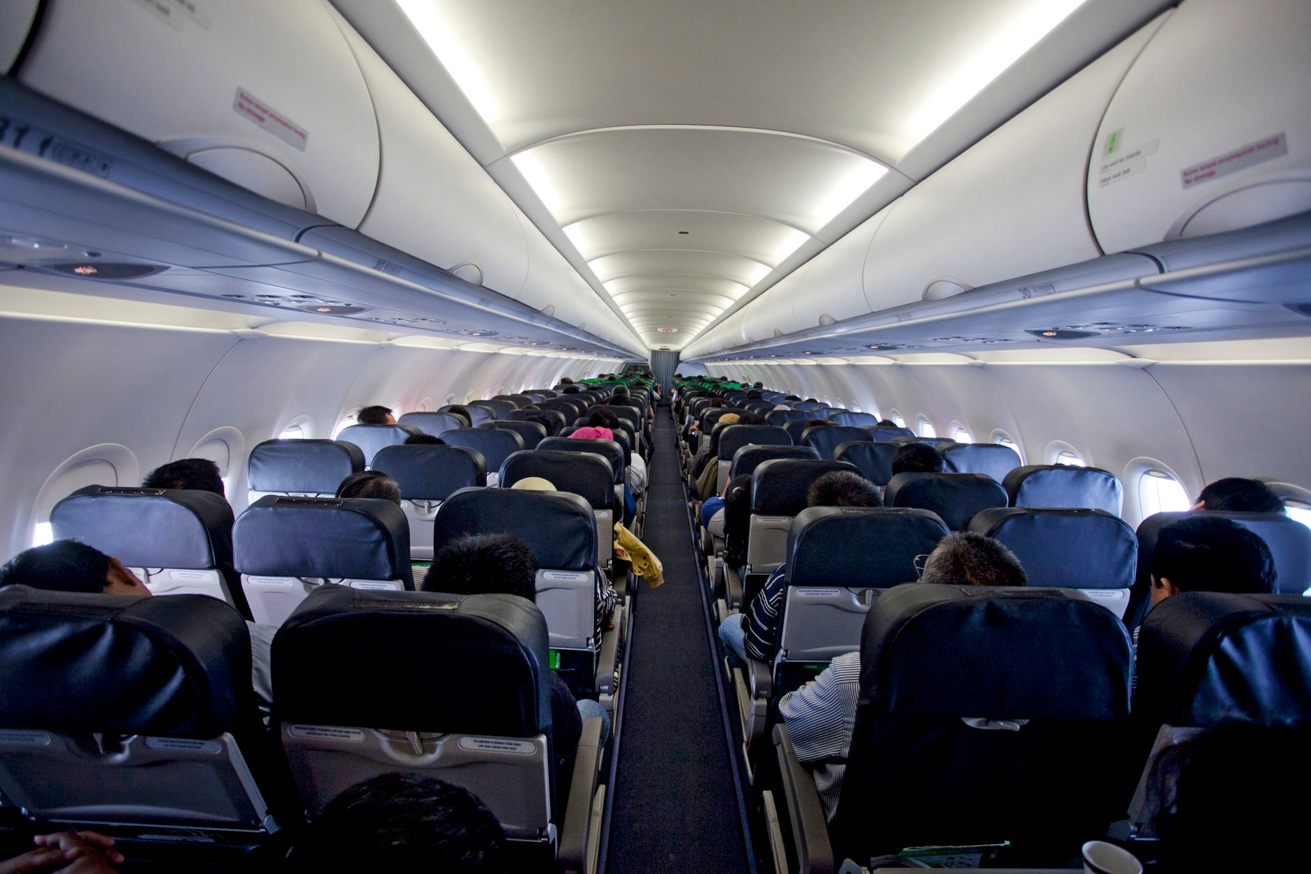 passenger soft pet carrier under airplane seat cabin