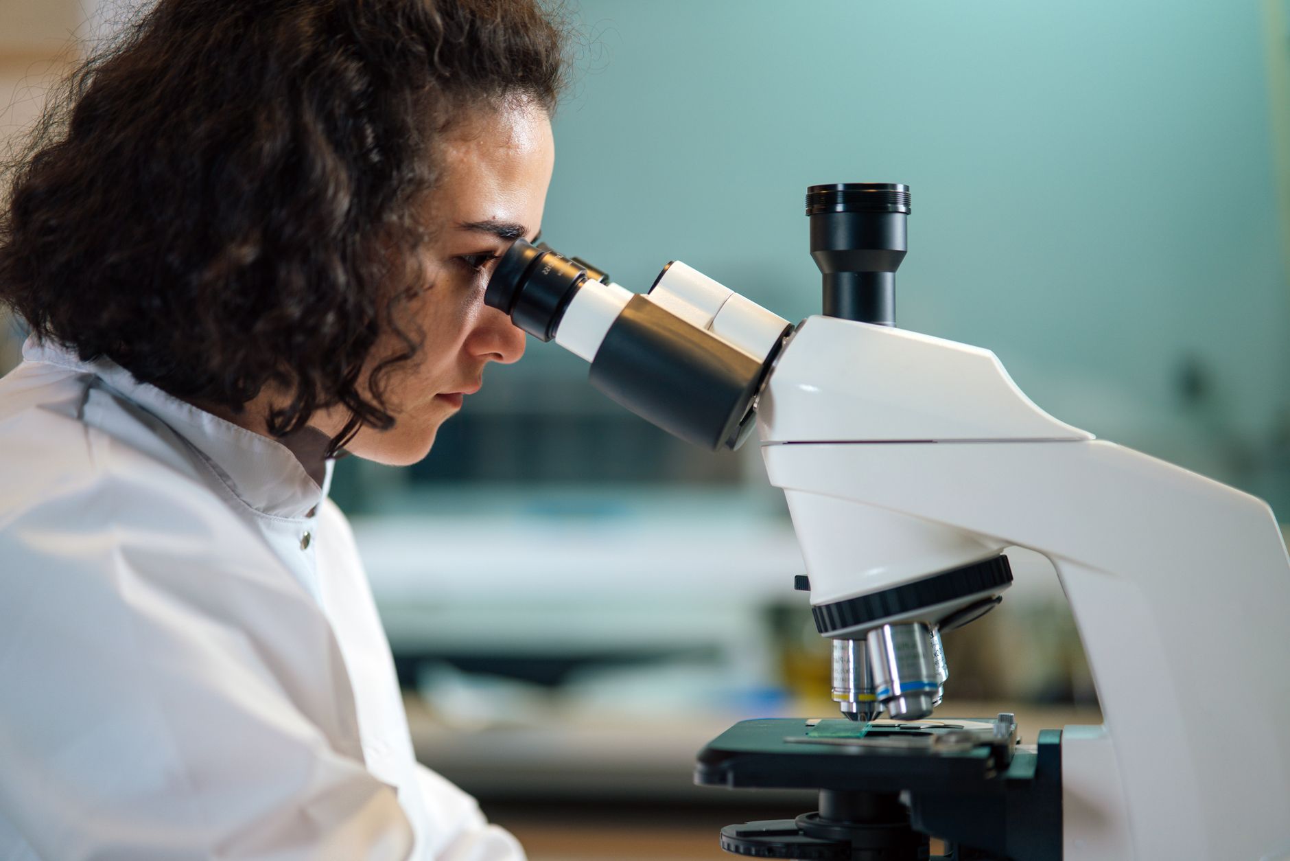 Is There a Test for Rabies in Dogs? What CDC and WOAH Actually Say