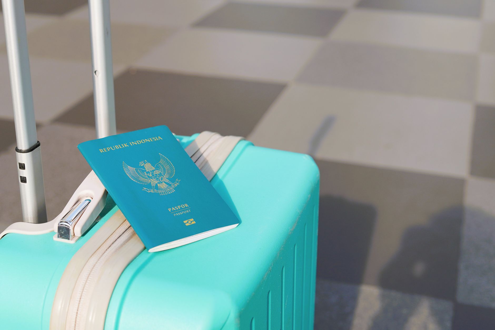 traveler holding leashed dog beside airport customs document counter