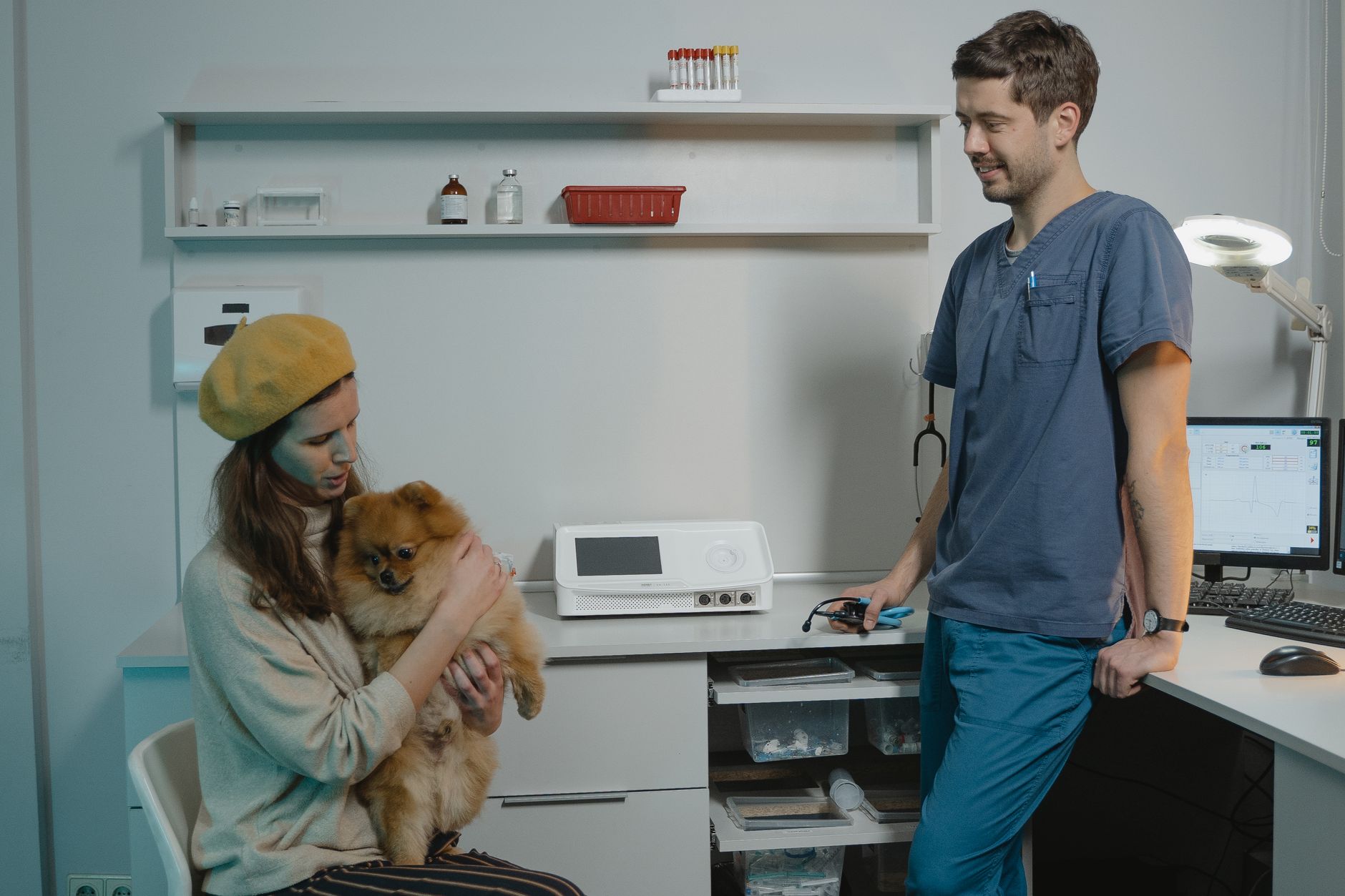 veterinarian scanning dog microchip during clinic appointment