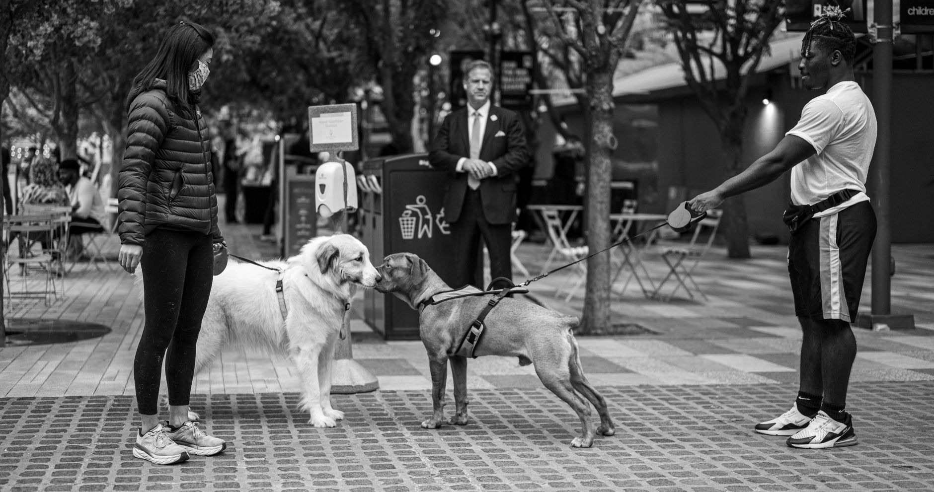 traveler walking dog at airport outdoor pet relief area
