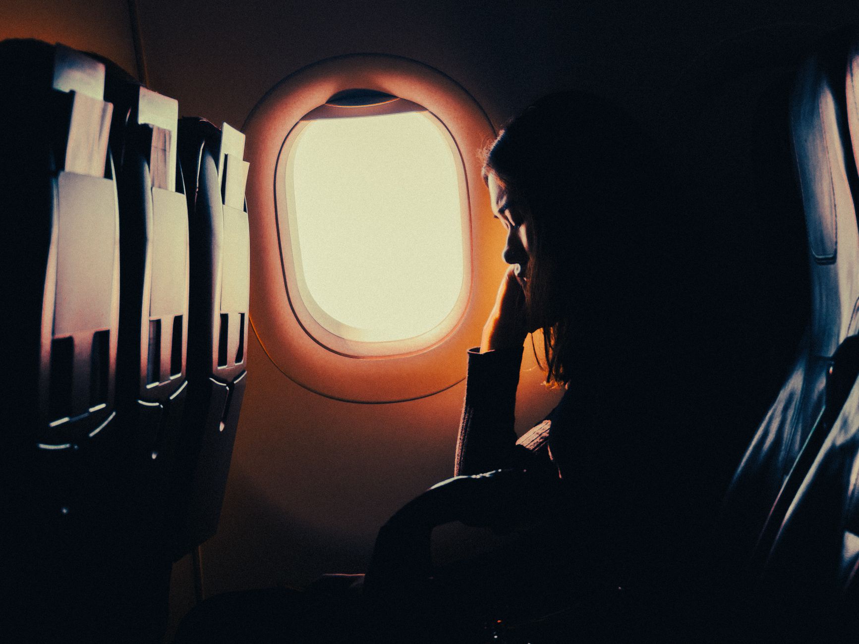 Pet Carriers for Cats: How to Choose a Safe, Airline-Compliant Carrier