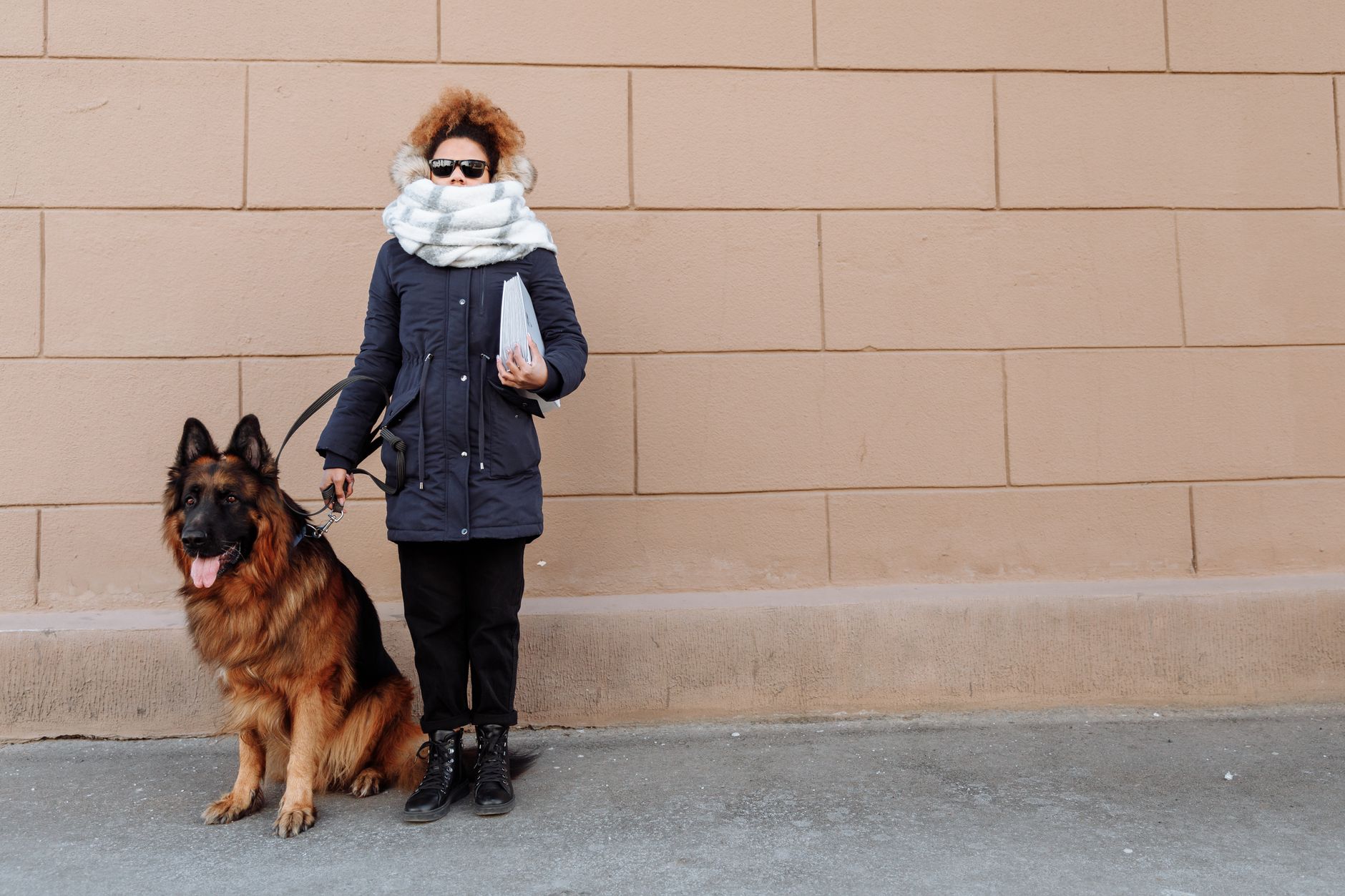 How to Fly a Dog With You: Cabin, Cargo, and Documents