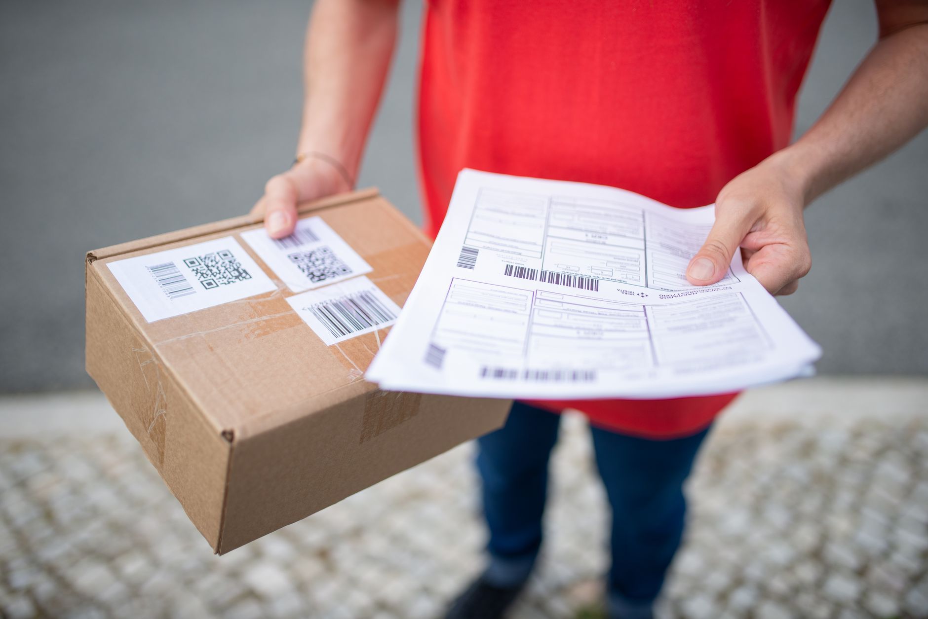 APHIS endorsement office shipping pet travel documents overnight mail