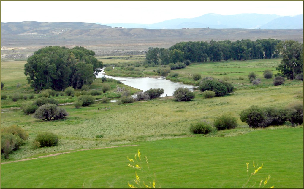 cattle ranch pasture