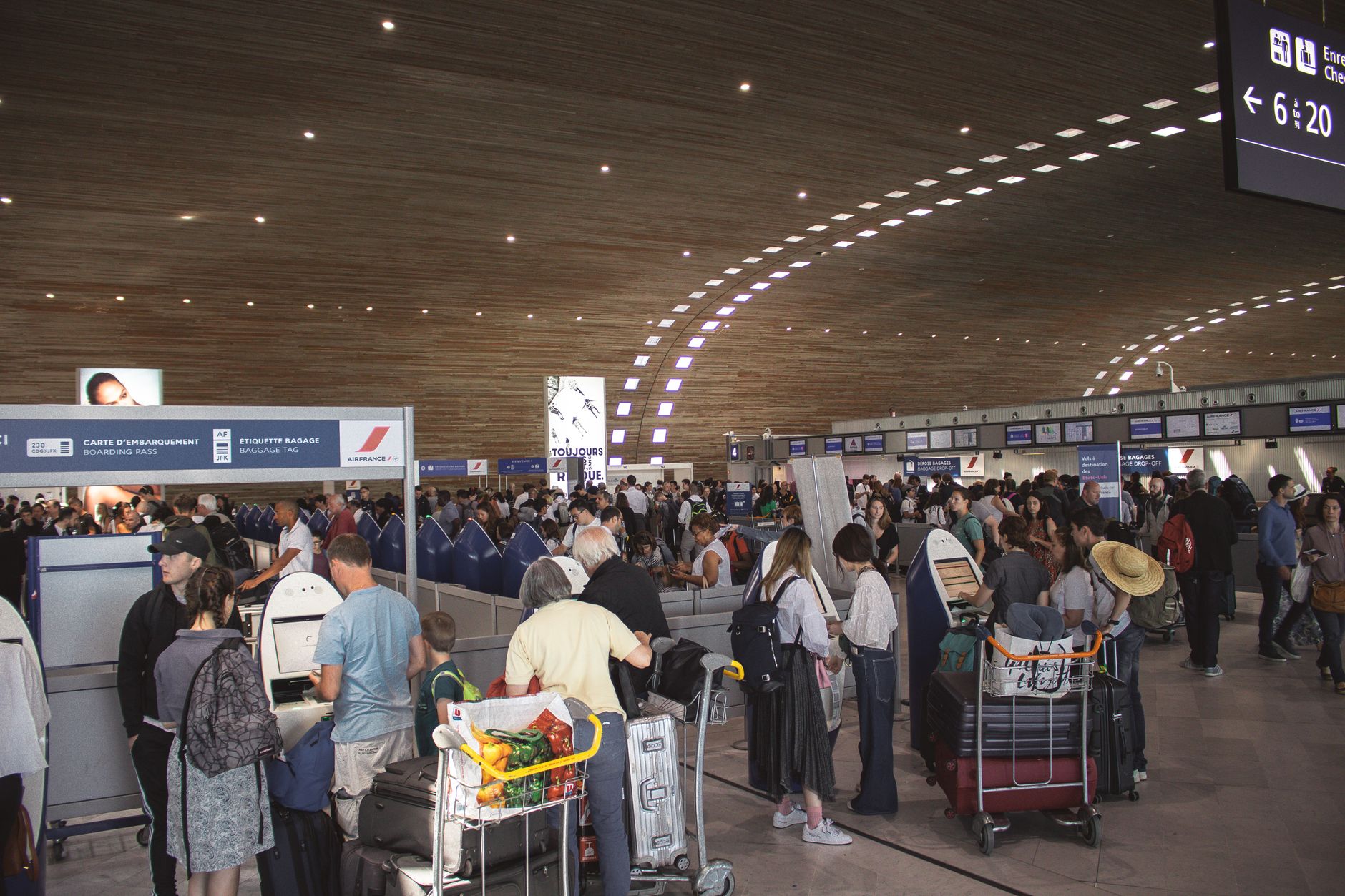 traveler with dog crate at airport check-in counter