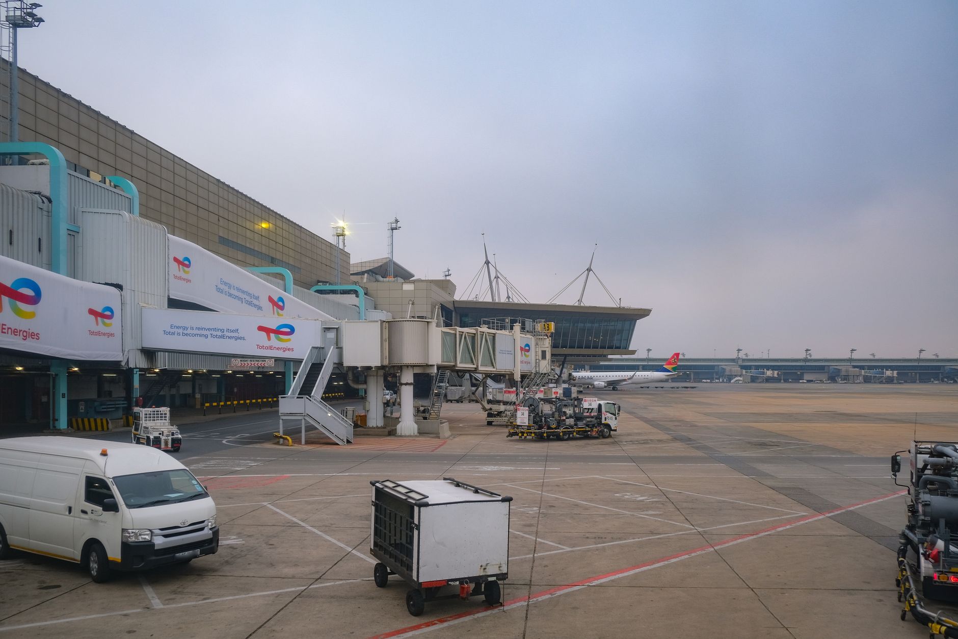British Airways Pet Policy 2026: Cabin, Cargo, Assistance Dogs and Paperwork