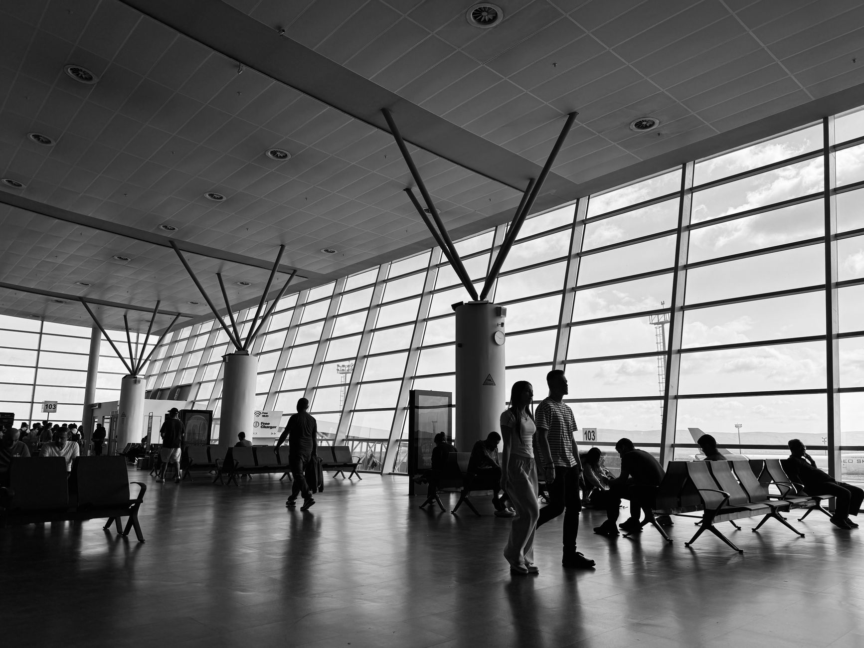 Frontier Airlines Animal Policy (2026): Pet Fees, Carrier Sizes, Service Dogs and What Is Not Allowed