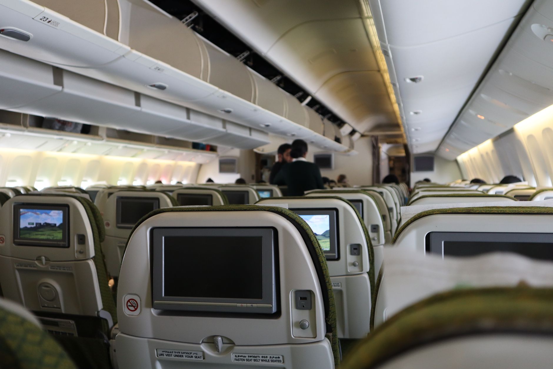 JetBlue Service Animal Policy: Forms, Rules & Requirements (2026)