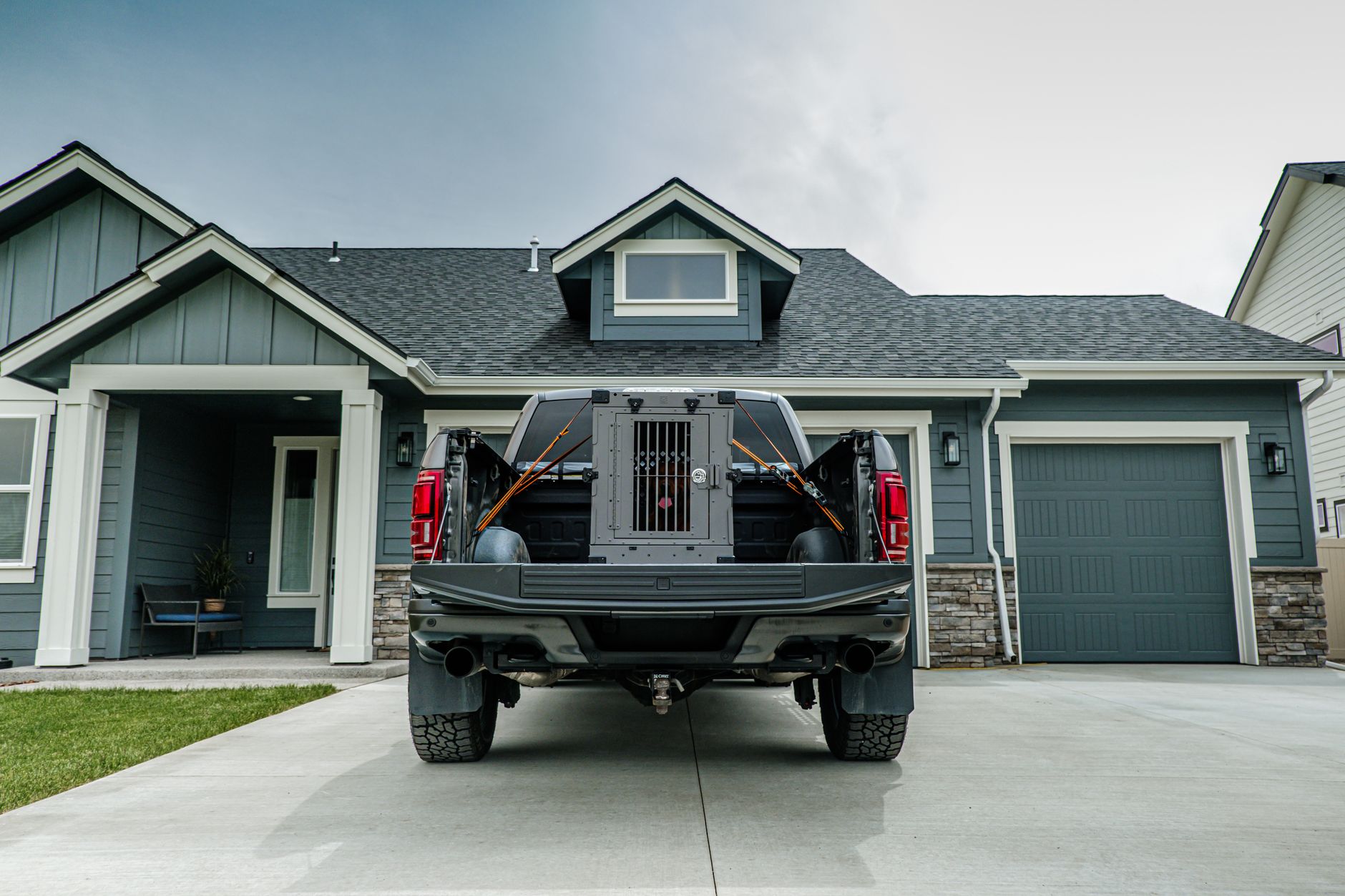 Door to Door Pet Transport: How It Works, Rules, and Costs