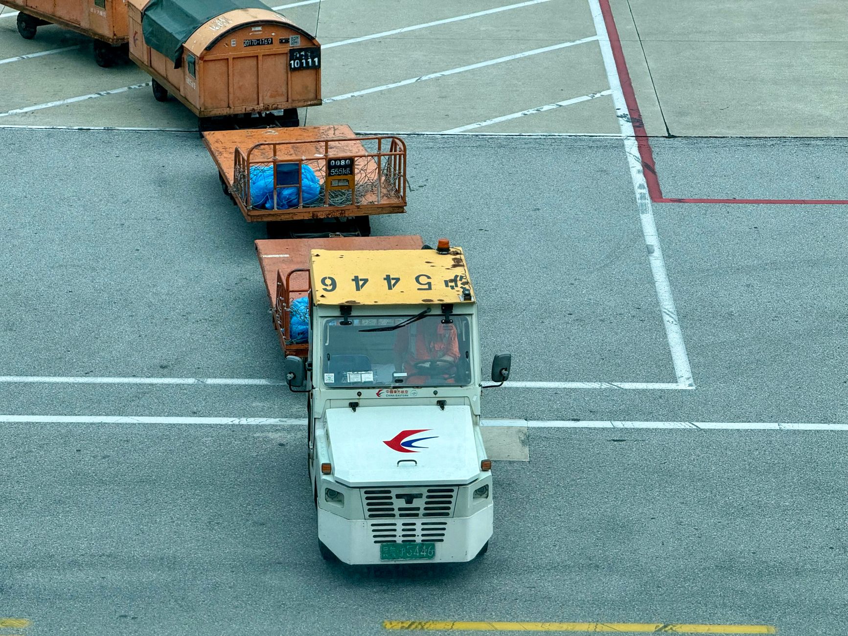 golden retriever crate on cargo cart at airport tarmac