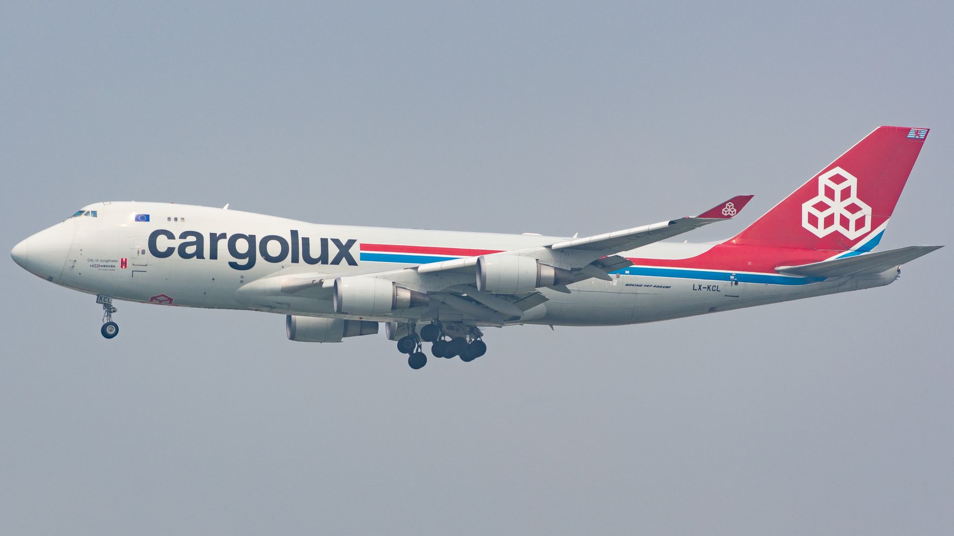large dog inside plastic airline crate on cargo tarmac