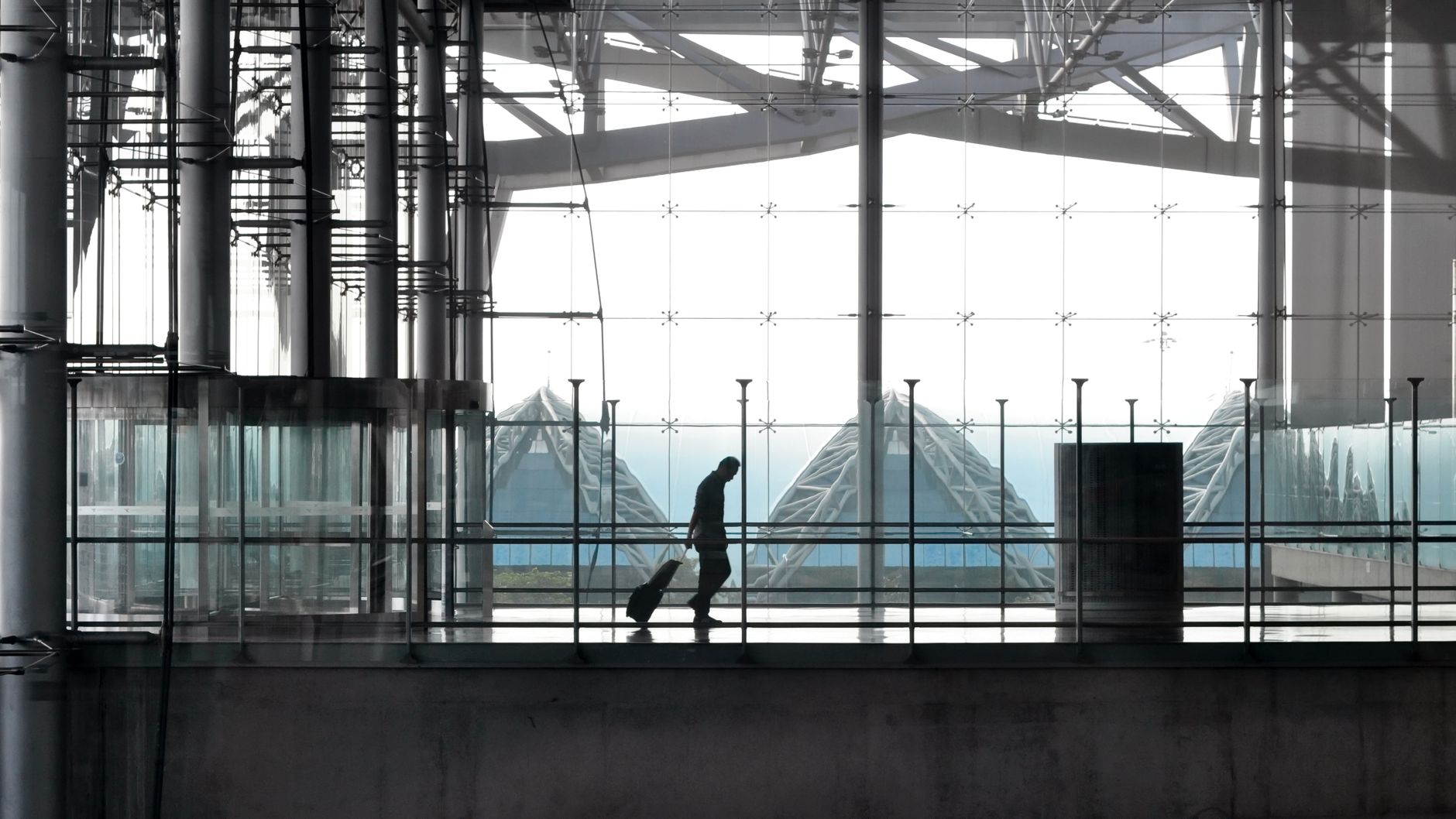traveler carrying pet carrier through airport departure terminal