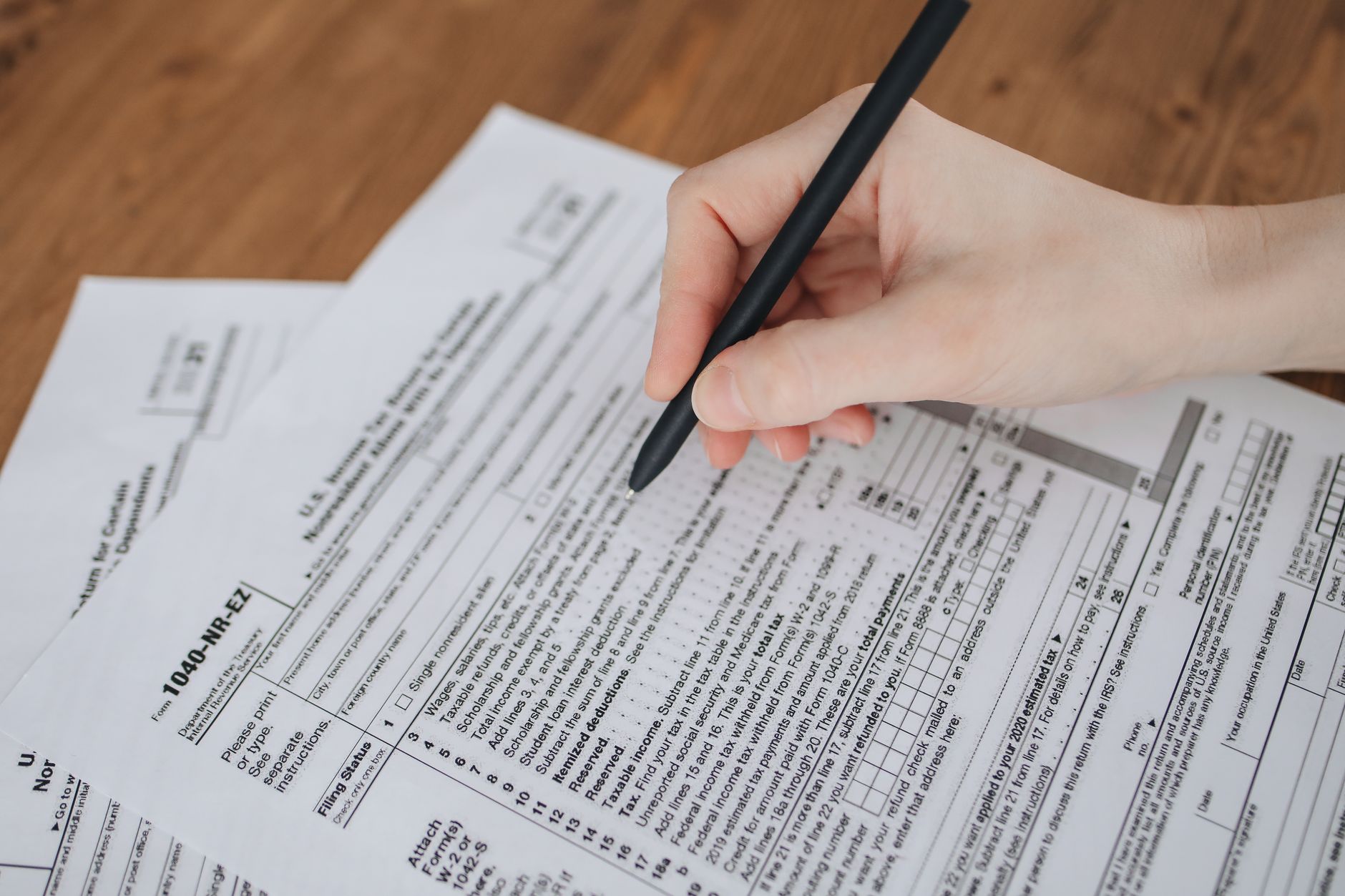 person filling out pet travel document paperwork with cat nearby