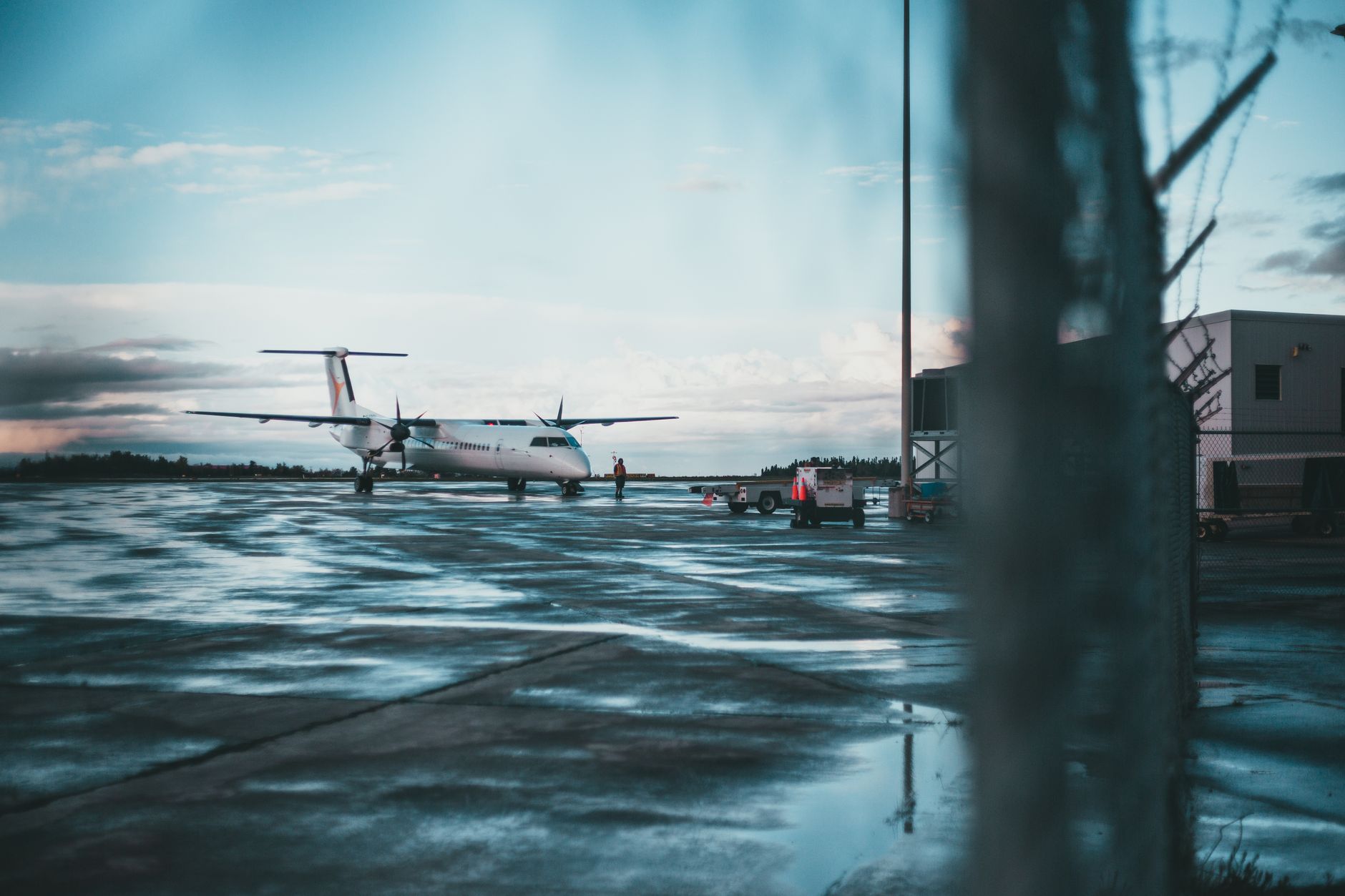 airline cargo pet carrier crate on airport tarmac