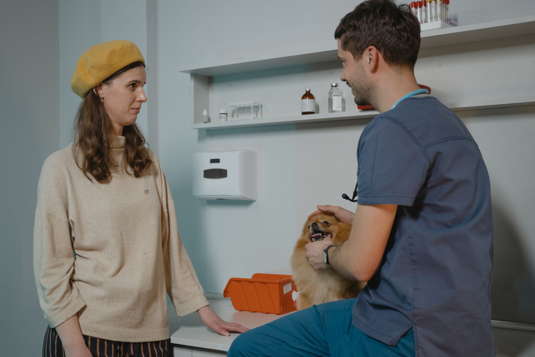 veterinary clinic dog health certificate paperwork desk