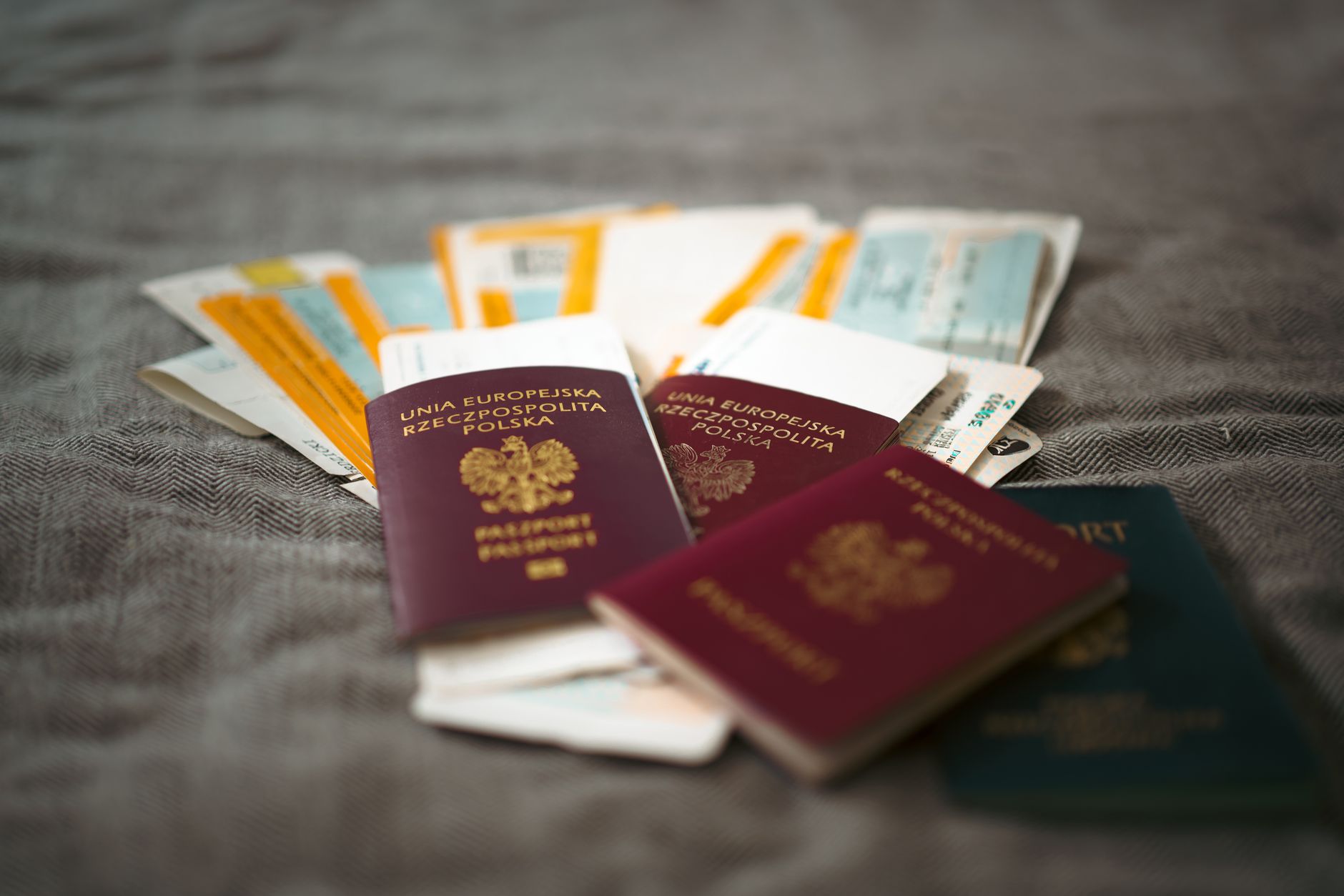 CDC Dog Import Form: How to Complete It, Get the Receipt, and Enter the U.S.